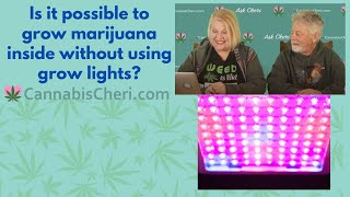 Can I grow marijuana inside without grow lights?