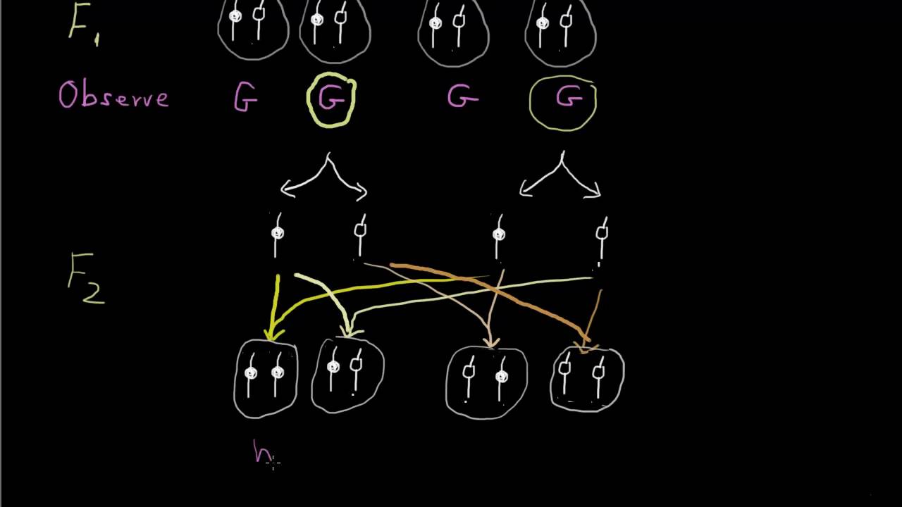Forsdyke Evolution Academy 01-30 Uniform Blending