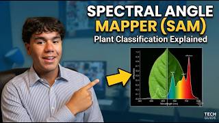 Spectral Angle Mapper SAM
