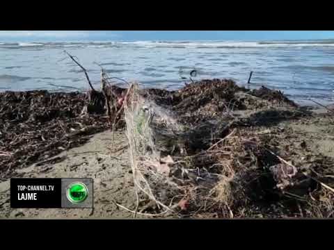 Video: A mund të peshkoni në plazhin stinson?