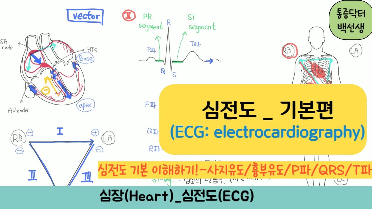 심전도_기본편 (ECG_electrocardiography) : 심전도 기본 이해하기/사지유도/흉부유도
