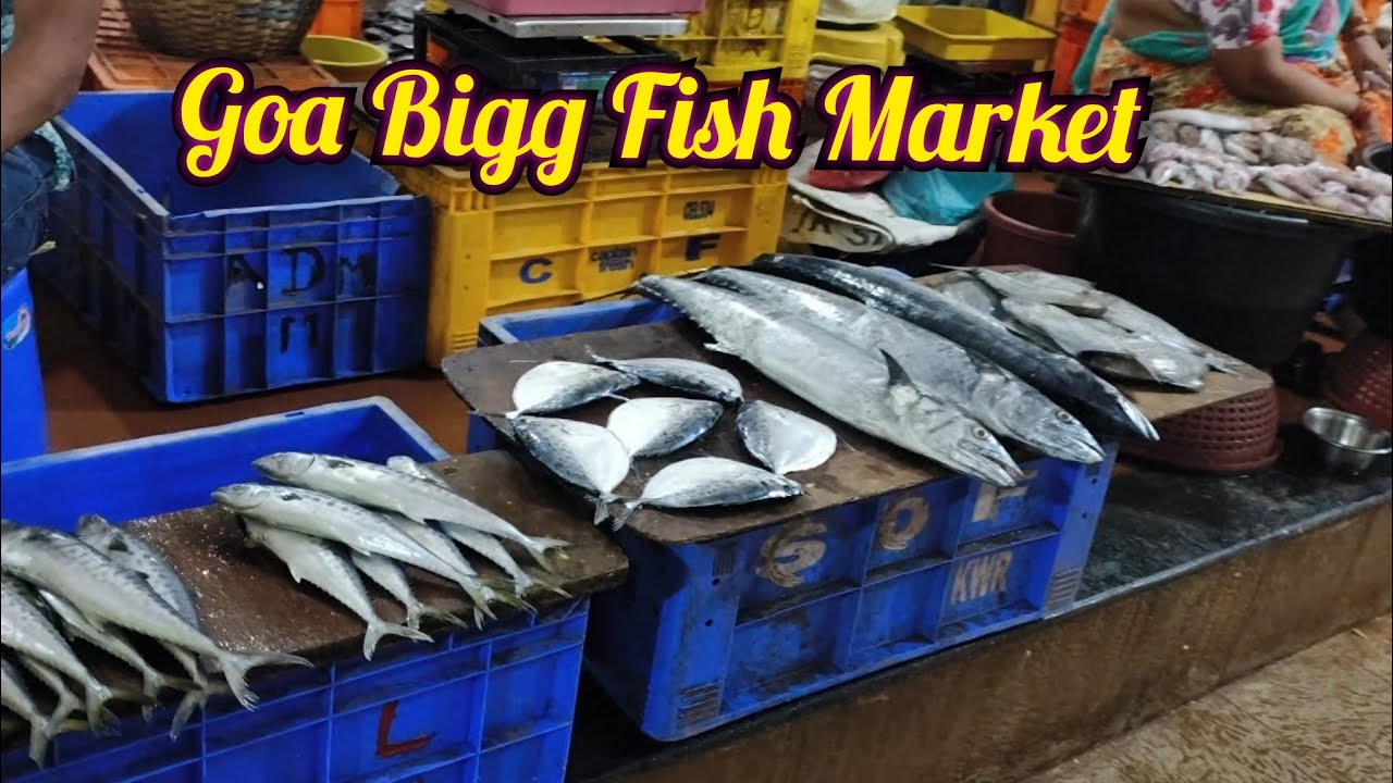Goa Big Fish Market Mapusa Fish Market Mapusa Market Goa India goa-big-fish-market-mapusa-fish-market-mapusa-market-goa-india