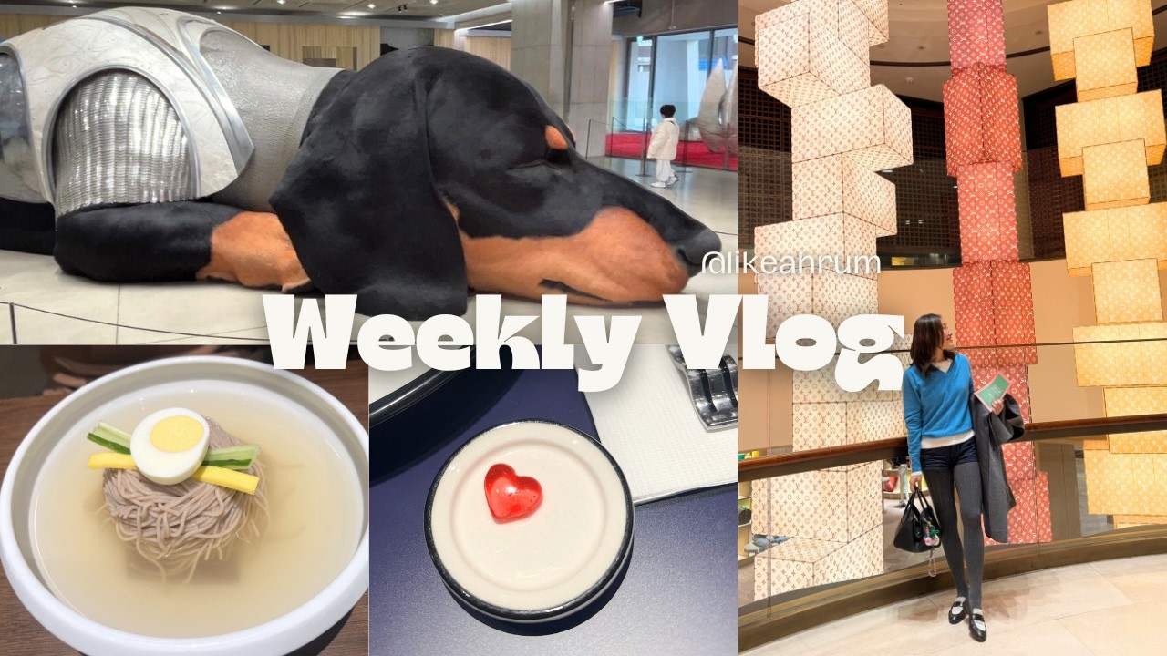 일주일 브이로그 - 집밥 요리, 자라 쇼핑, 평냉 서령, 루이비통 비저너리 전시, 에르메스 버킨백, 글로니 청바지 언박싱, 성수동 브랜디멜빌, 하우스노웨어