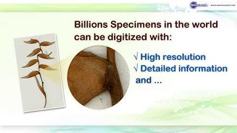 Bioimager BioScan 1600 Object Scanner solution of Herbarium specimen digitization