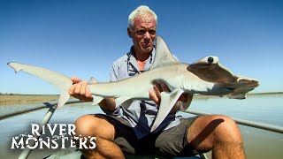 Download Lagu The Animals Facing Extinction Caught On River Monsters MP3 Download Lagu The Animals Facing Extinction Caught On River Monsters MP3