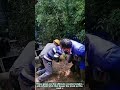 Farm Hack to Stop a Truck From Flipping: Live Weight on the Front