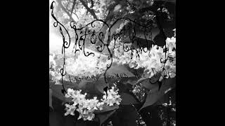 Photosynthesis - Turning Toward The Light | Full Album 2013