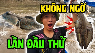 Thử Thách Cắm Cá Thòi Lòi Rừng Kiểu Mới | Không Ngờ Thu Hoạch Ngoài Mong Đợi