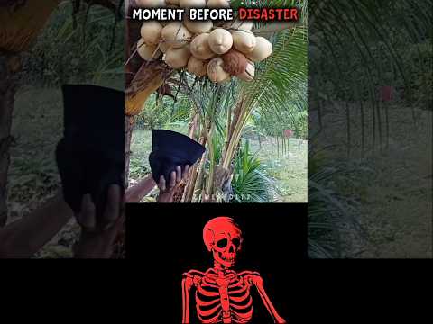 #aestheic thumbnail