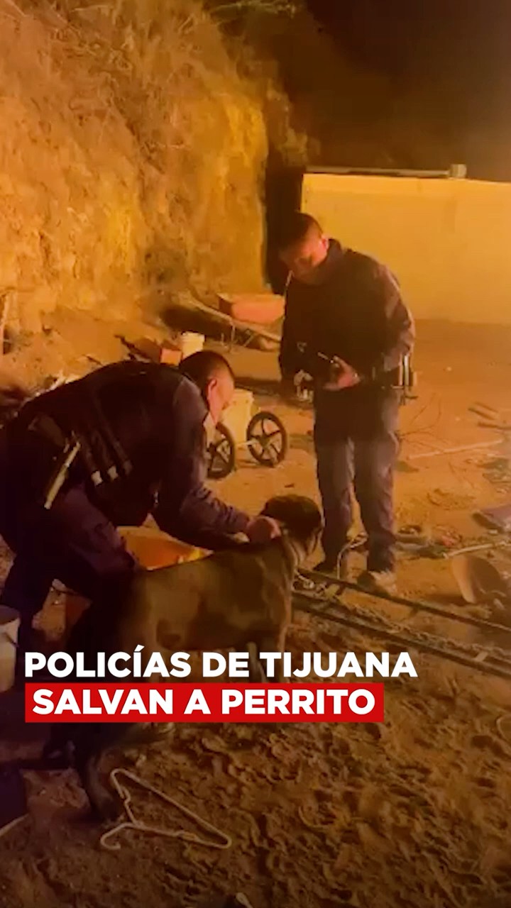 Policías de Tijuana arriesgan su vida para salvar perrito amarrado