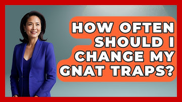 How Often Should I Change My Gnat Traps? - Insects and Invaders