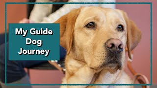 My Guide Dog Journey: From Training to Retirement