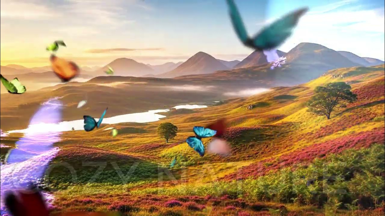 Warm Cozy Nature Ambience 🌿 | Soft Forest Sounds for Relaxation, Sleep & Peaceful Moments