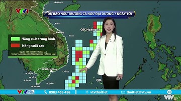 Dự báo thời tiết 9h10 - 18/11/2022 | Ngư trường cá ngừ đại dương 7 ngày tới | VTVWDB