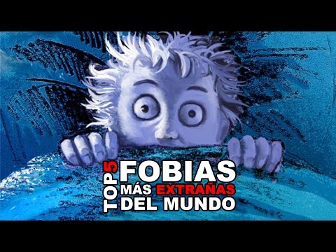 Top 5 Fobias