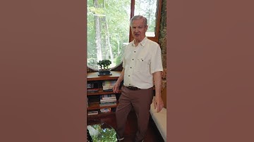 Hidden in the Woods is a Frank Lloyd Wright Gem