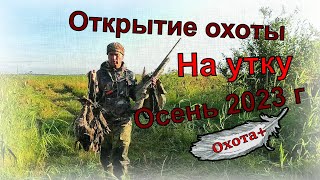 Открытие охоты на УТКУ Осень 2023г. ружьё Impala plus, новинка палатка УП 2