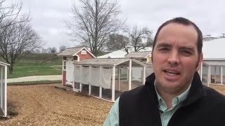 Chatting About Chickens: Hens & Eggs | Tractor Supply Co.