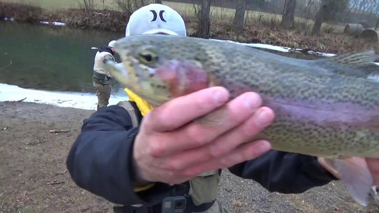 Cripple Creek Trout Fishing YouTube