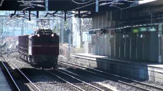 2010-01-23 [常磐線] EF81 81 + コキ50000形 + コキ100系, 高速貨1657 (1)