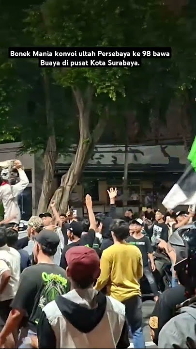 Reckless, Bonek Mania Convoy Celebrates Persebaya's Birthday Bringing a Live Crocodile #bonek#per...