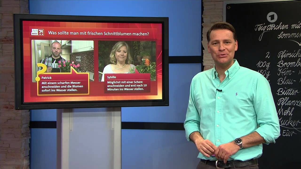 ARD Buffet ach was !  Schnittblumen 794853 xl