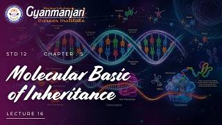 Biology | STD 12th | Ch 5 | Molecular Basic of Inheritance | Lec 16 | ENG | GCI | 30.03.2026