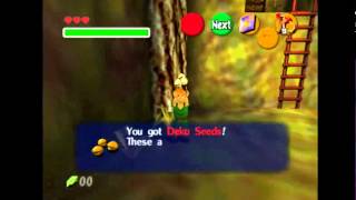 OoT: GID with the Ladder Cutscene