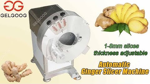 Automatic Ginger Slicer Machine Electric Ginger Root Slicer
