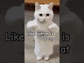 #cat