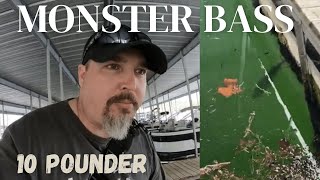 Fishing for 10lb Largemouth from the docks at Table Rock Lake