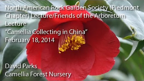 "Camellia Collecting in China" - North American Rock Garden Society (Piedmont Chapter) Lectures - DayDayNews