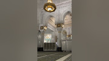 تلاوة بديعة من سورة الجاثية صلاة الفجر من المسجد الحرام |6 صفر 1446 | الشيخ أ.د #ياسر_الدوسري