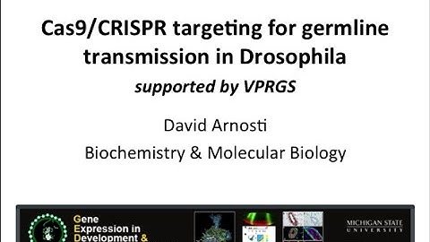 CRISPR Targeting for Germline Transmission in Drosophila