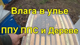 Влага в улье ППУ ППС и Дереве