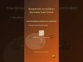Collision domains control who can transmit. Broadcast domains control who receives. #networking