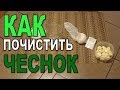 КАК ПОЧИСТИТЬ ЧЕСНОК. ПРОВЕРЯЮ ЛАЙФХАК ♥ ЭЛЯ В США S2E18