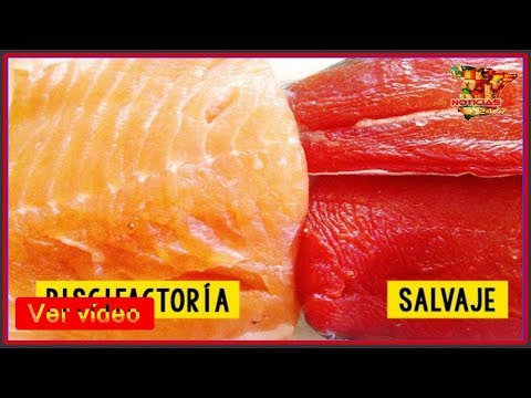 Video: Qué Tipos De Salmón Existen Y Su Descripción