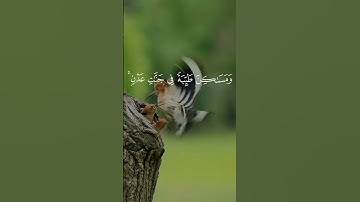 تلاوة تُداوي القلب قبل الأذن | المنشاوي يبكي الحجر الشيخ المنشاوي