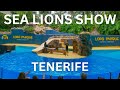 Full Sea Lions Show At Loro Parque 4K | Tenerife