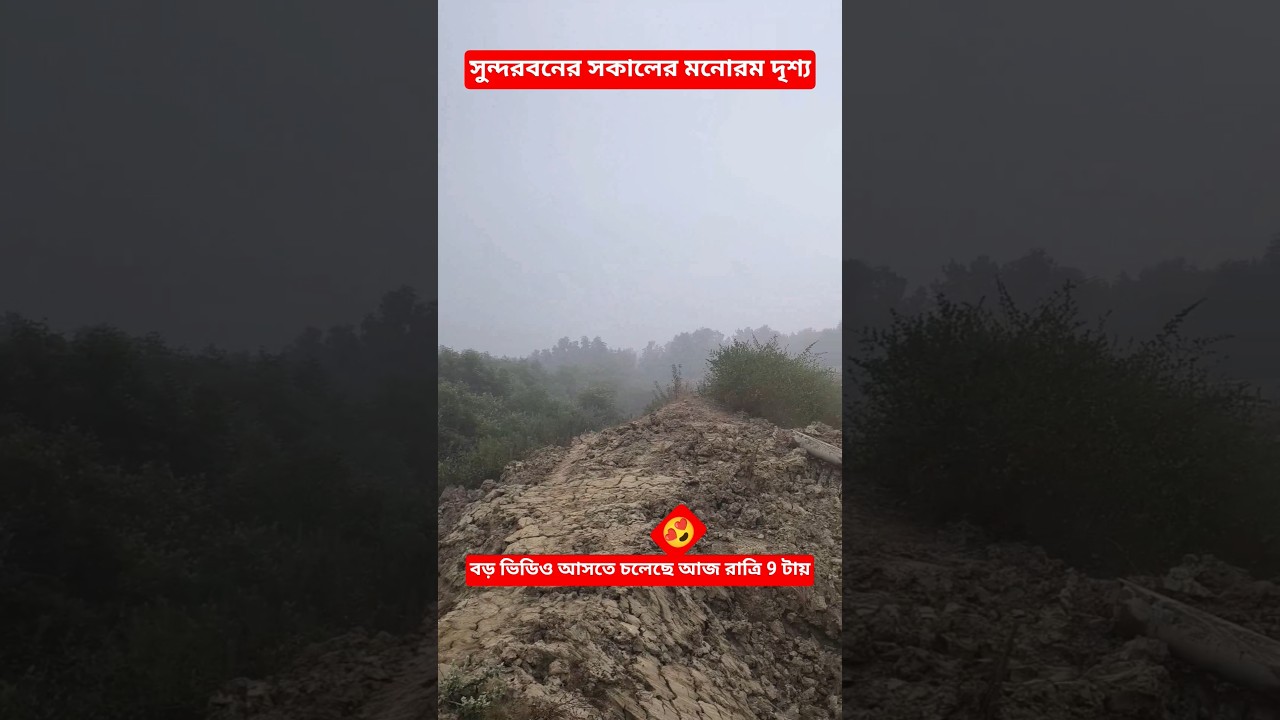 সুন্দরবনের সকালের মনোরম দৃশ্য 😍 । 