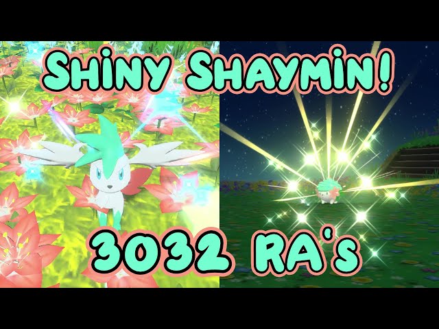 8] My shiny shaymin, Azalea, finally meets my shaymin, Grace, in Hisui! 💖  : r/ShinyPokemon