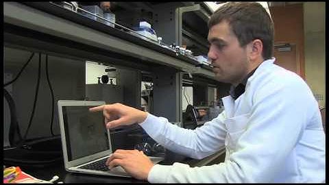 Watching nanoscale defects move in real time