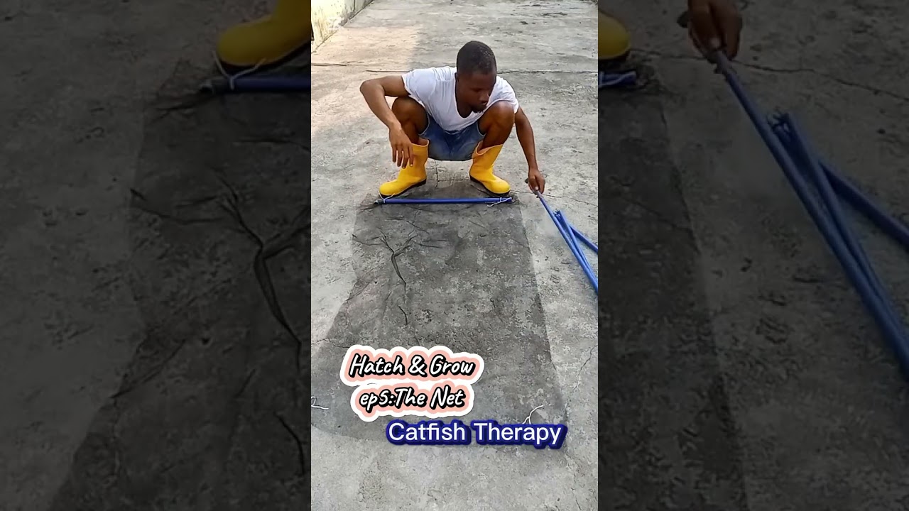 Hatch & Grow Ep5:The Net. 