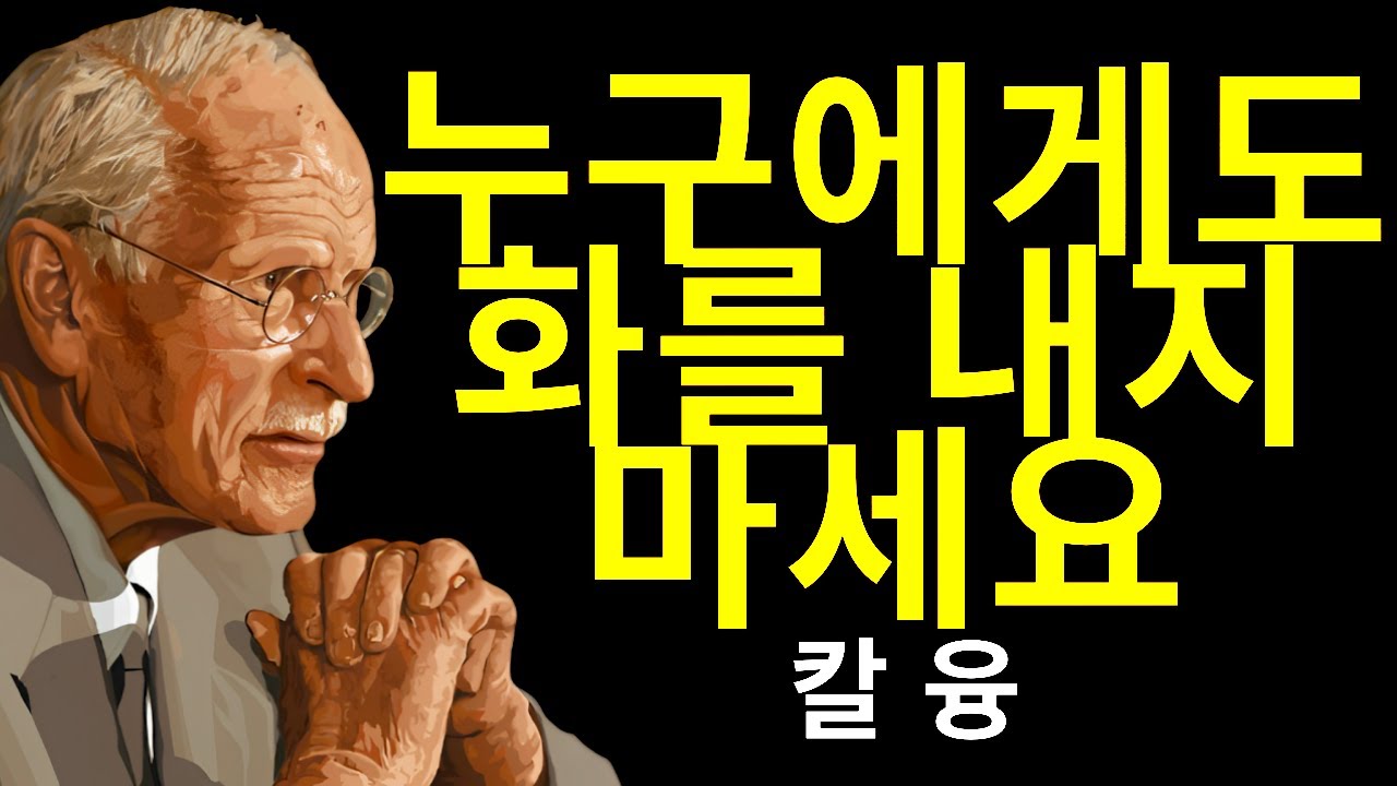 다시는 누구에게도 화내지 마세요: 당신의 인생을 바꿀 12가지 교훈 | 칼 융