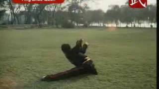 Kung Fu Eagle Claw Style