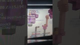 Dia 21 ignoren mi Nice xd #minecraft #conterstine #elrichmc