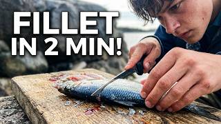 How to Fillet ANY Fish in 2 Minutes (Beginner Guide)