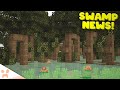 Minecraft 1.19 Mangrove Swamp Update and Ideas!