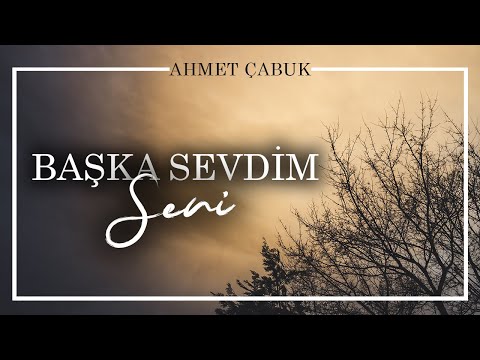 Emre Özdemir - Başka Sevdim Seni